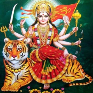 Durga Homam